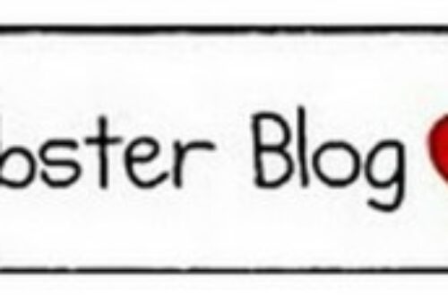 Article : Liebster Blog, c’est mon tour on dirait